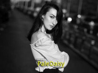 PaleDaisy