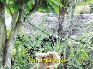 Pandora_Apple