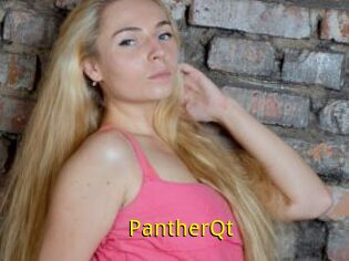 PantherQt