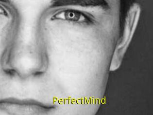 PerfectMind