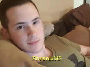 PhoenixMS
