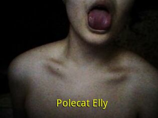 Polecat_Elly