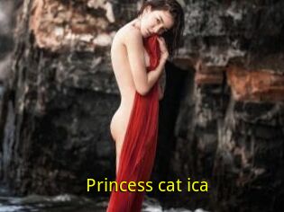 Princess_cat_ica