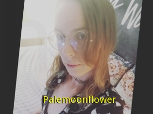 Palemoonflower