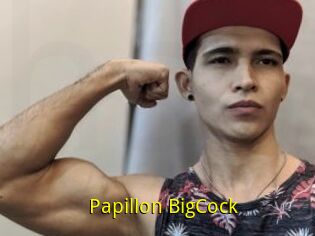 Papillon_BigCock