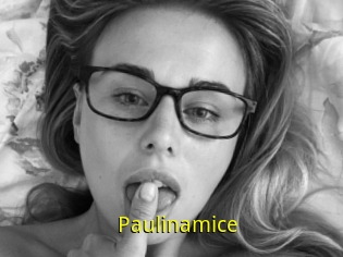 Paulinamice