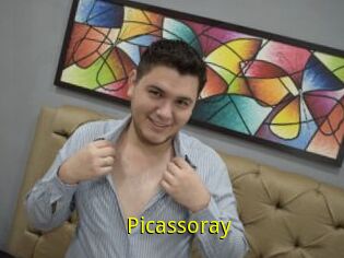 Picassoray