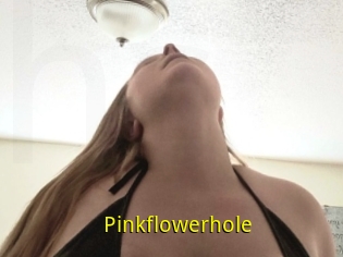 Pinkflowerhole