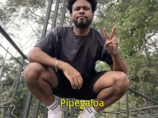 Pipegaloa