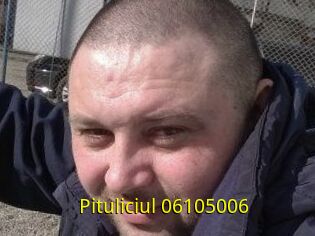 Pituliciul-06105006