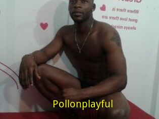 Pollonplayful