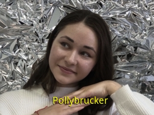 Pollybrucker