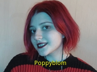 Poppyblom
