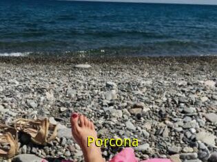 Porcona