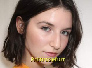 Primrosefurr