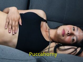 Puccahorny