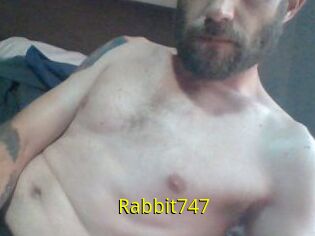 Rabbit747