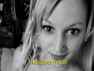RaspberryCat