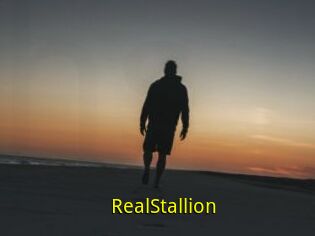 RealStallion