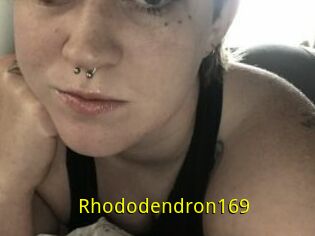 Rhododendron169