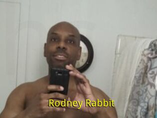 Rodney_Rabbit