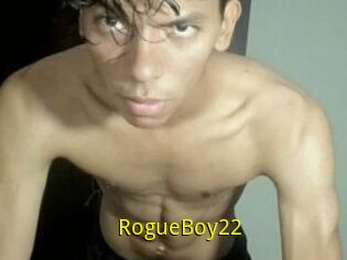 RogueBoy22