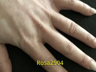 Rosa2904