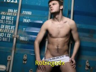 Robingudx
