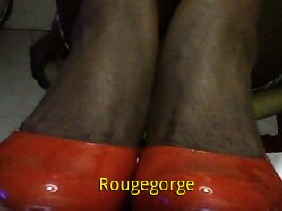 Rougegorge