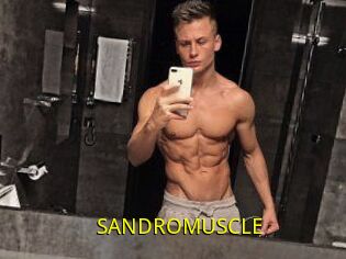 SANDRO_MUSCLE