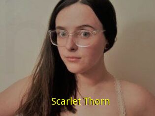 Scarlet_Thorn