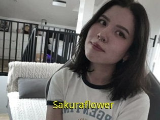Sakuraflower