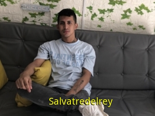 Salvatredelrey