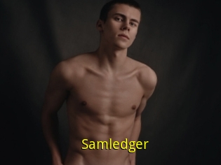 Samledger