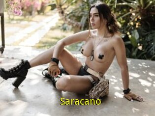 Saracano