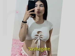 Sashagate