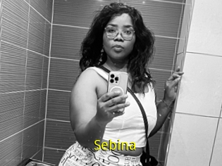 Sebina