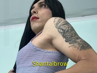 Shantalbrow