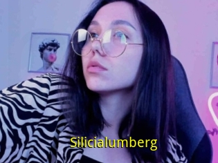 Silicialumberg