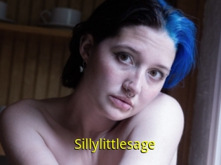 Sillylittlesage