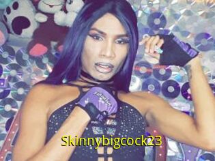 Skinnybigcock23
