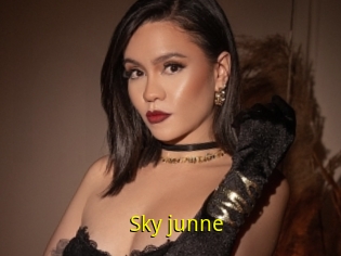 Sky_junne