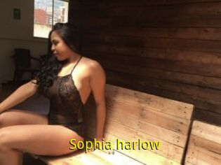 Sophia_harlow