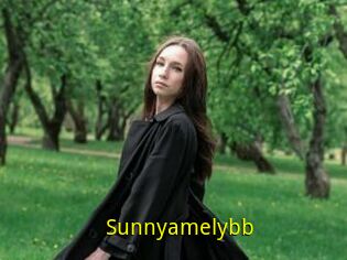 Sunnyamelybb