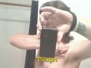 TSFidget