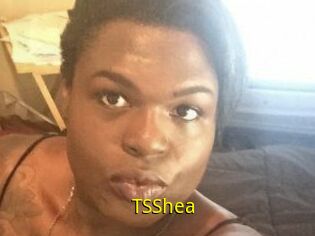 TS_Shea