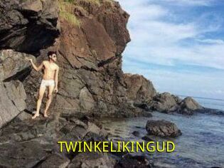 TWINKELIKINGUD