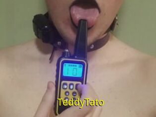 TeddyTato