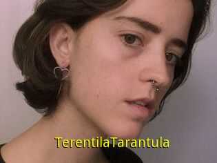 TerentilaTarantula