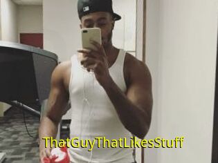 ThatGuyThatLikesStuff